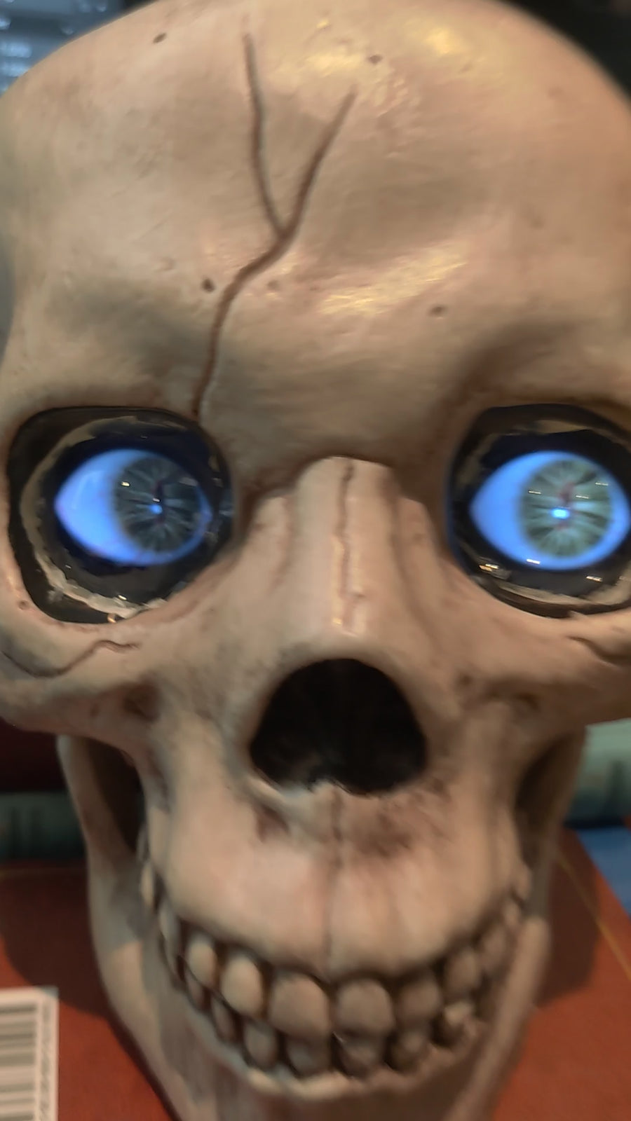 Digital Eyes Kit, Halloween Digital Eyes, Prop Builder, Halloween Skeleton