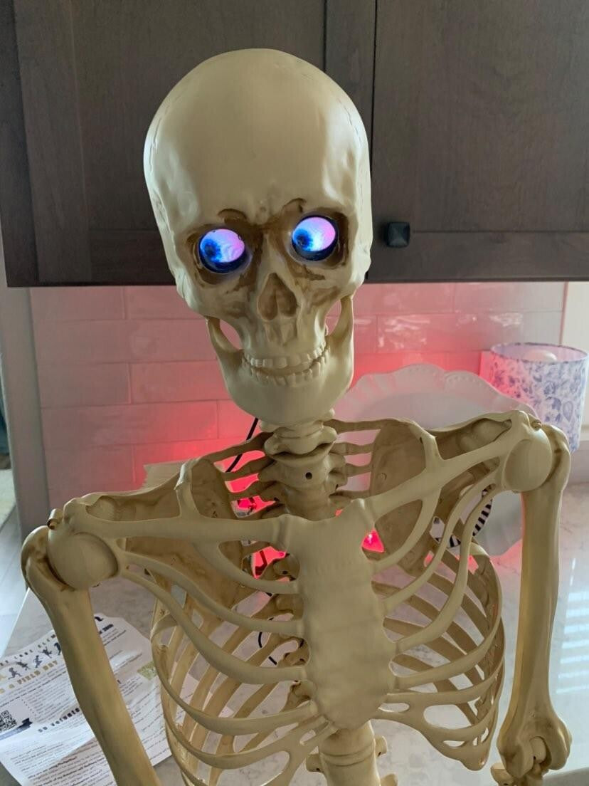 Digital Eyes Kit, Halloween Digital Eyes, Prop Builder, Halloween Skeleton