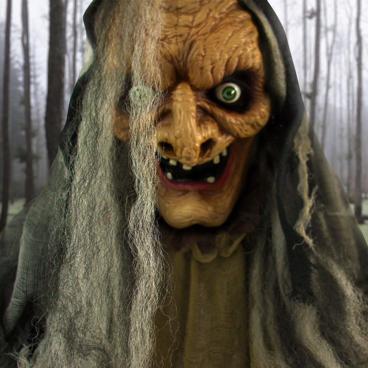 Life-Size Scary Poseable Talking Witch, Halloween Animatronic with Touch Activated Lights and Sound, Battery Operated Indoor or Covered Outdoor Halloween Decorations, Halloween Prop