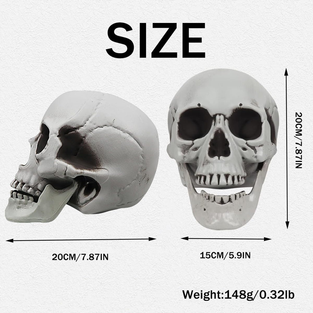 Life Size Skeleton Skull | Halloween Decor Graveyard Outdoor