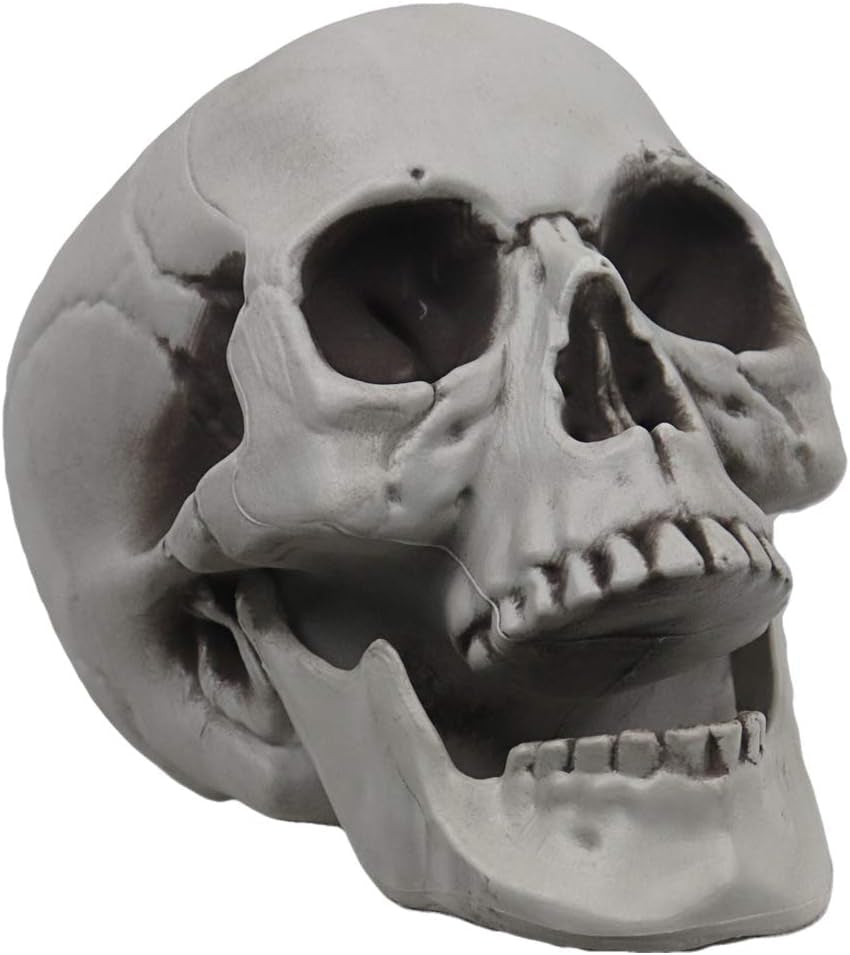 Life Size Skeleton Skull | Halloween Decor Graveyard Outdoor