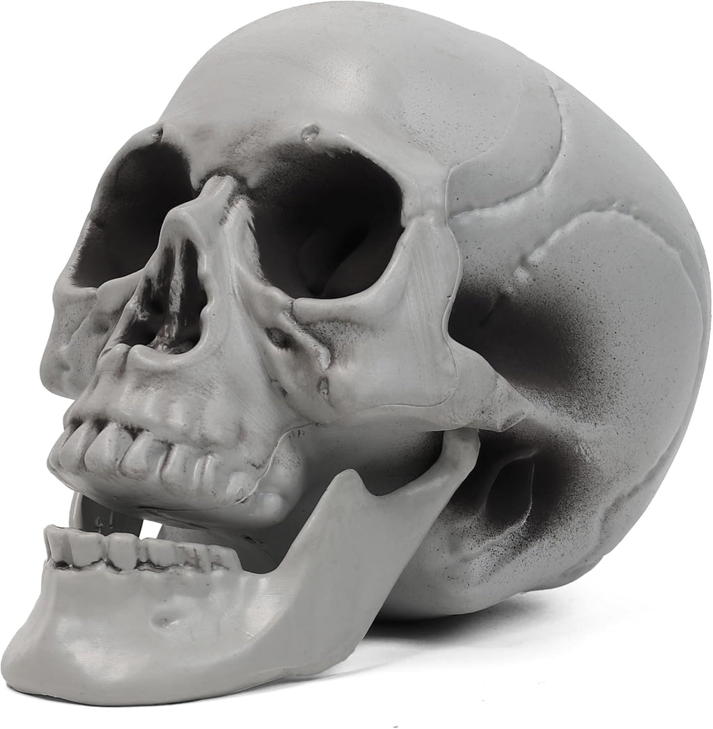 Life Size Skeleton Skull | Halloween Decor Graveyard Outdoor