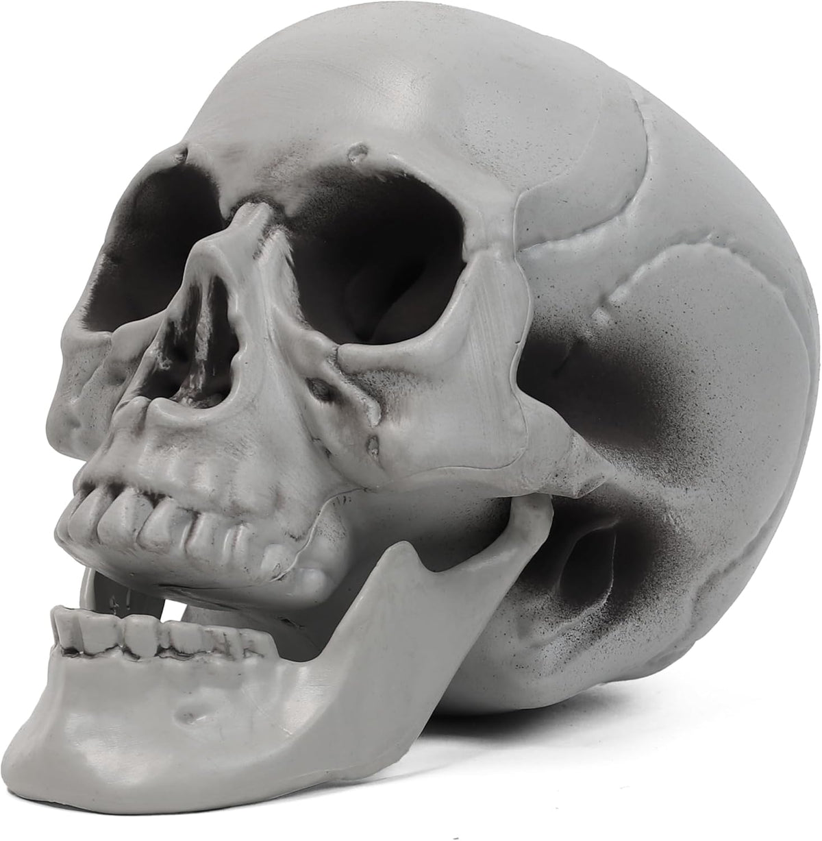 Life Size Skeleton Skull | Halloween Decor Graveyard Outdoor